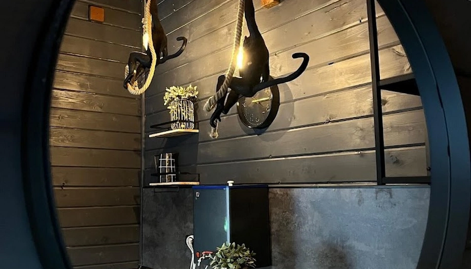 Фото №6 зала Пар хаус