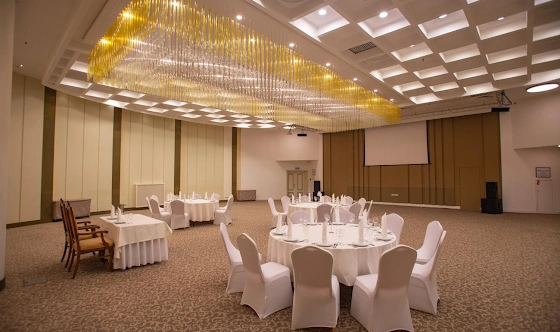 Фото №19 зала Зал «Россини» 