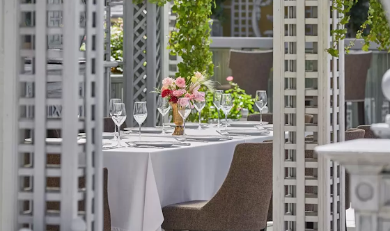 Фото №13 зала Трельяжная терраса