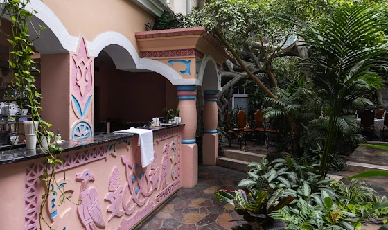 Фото №12 зала Зал «Зимний сад»