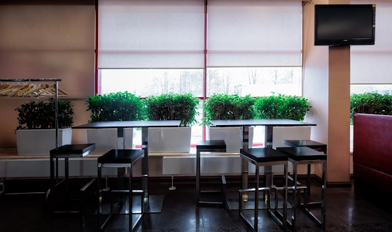 Фото №17 зала Большой банкетный зал