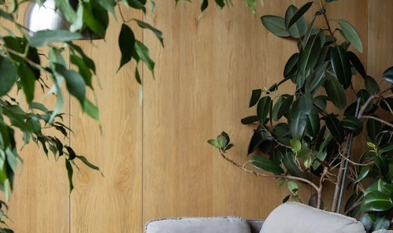 Фото №4 зала Малый зал