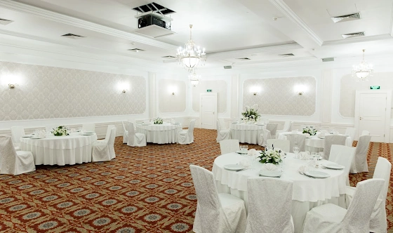 Фото №3 зала Зал «Толстой»