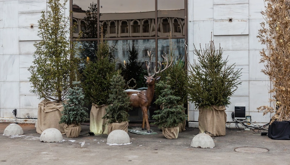 Фото №14 зала Малый VIP-зал