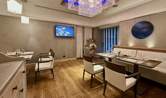 Фото №2 зала VIP-комната