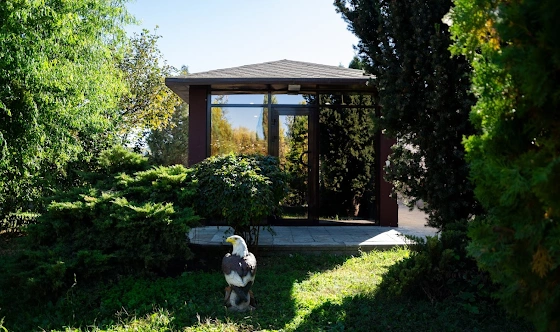 Фото №4 зала VIP-домик