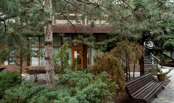 Фото №12 зала Зал «Оранжерея» 