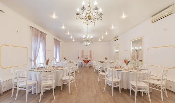 Фото №20 зала Большой банкетный зал 