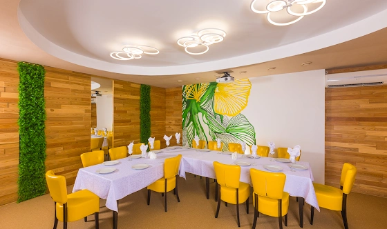 Фото №7 зала VIP-зал