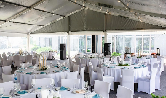 Фото №9 зала Шатер