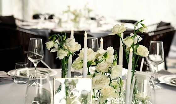 Фото №5 зала Ресторан Mady