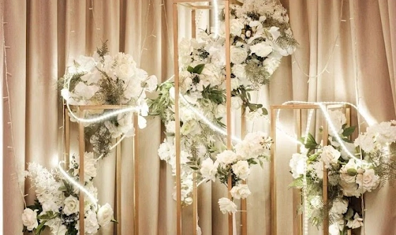 Фото №3 зала Зал "Solis"