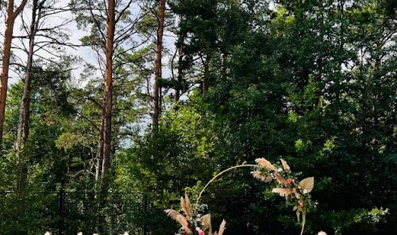 Фото №11 зала Основной зал 