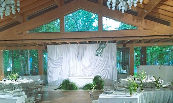 Фото №14 зала Большой банкетный зал