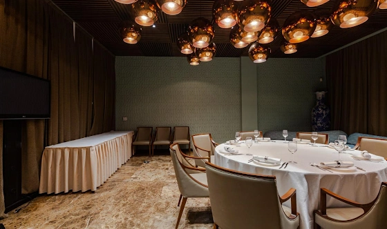 Фото №10 зала VIP - Зал