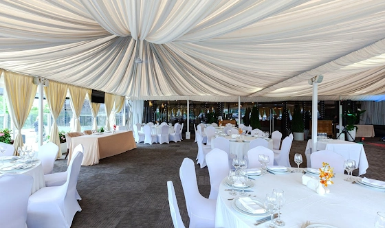 Фото №7 зала Веранда «Гуси-Лебеди»