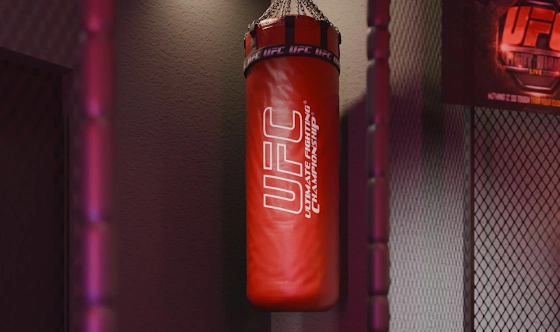 Фото №1 зала Лофт «UFC»