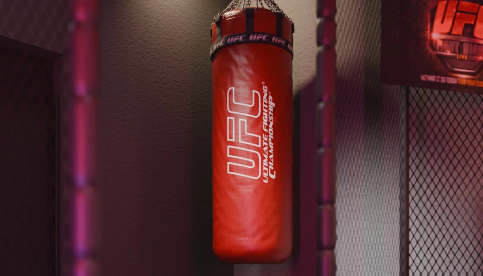 Фото №1 зала Лофт «UFC»