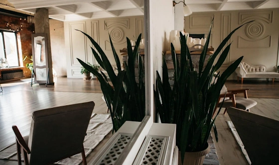 Фото №9 зала Большой зал