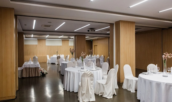 Фото №12 зала Зал "Саммит" 