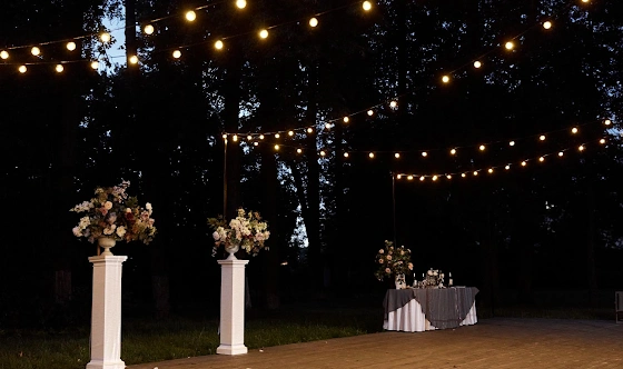 Фото №20 зала Шатер