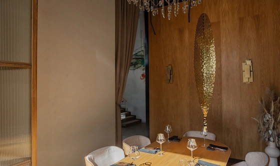 Фото №5 зала VIP-комната