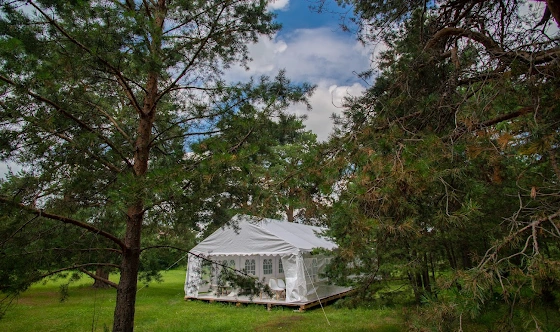 Фото №12 зала Шатер