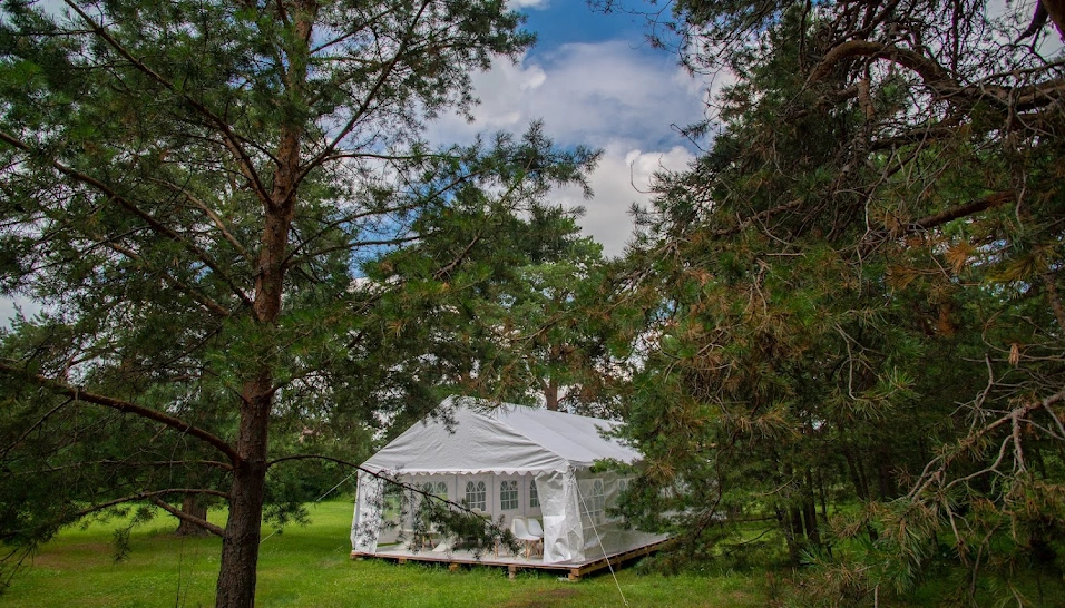 Фото №12 зала Шатер