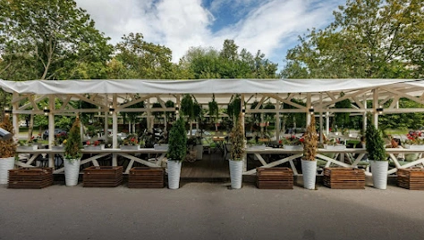 Фото №1 зала Веранда