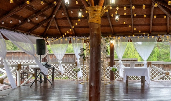 Фото №3 зала Летняя веранда