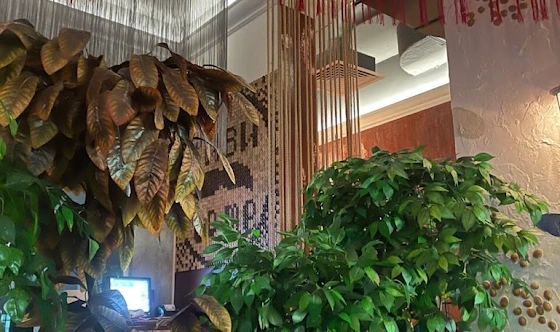 Фото №12 зала Основной зал 