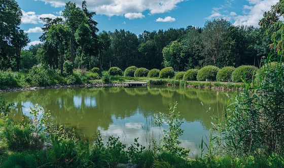 Фото №10 зала Малый зал