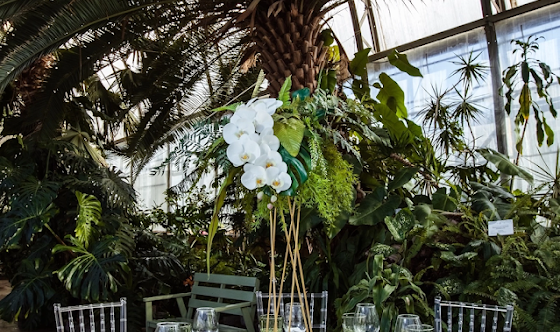 Фото №4 зала Оранжерея 