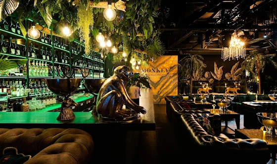 Фото №15 зала Monkey Lounge & Bar