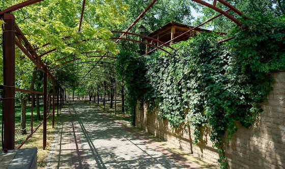 Фото №13 зала Малый зал