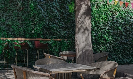 Фото №8 зала Летняя веранда