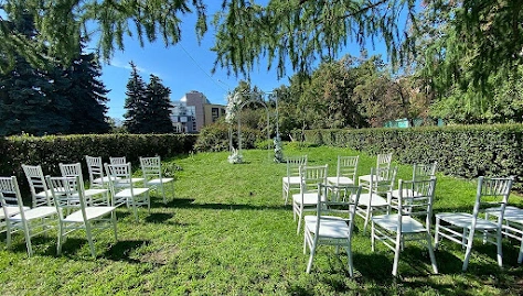 Фото №1 зала Зеленая полянка