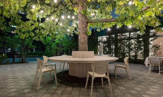 Фото №18 зала Летняя веранда 