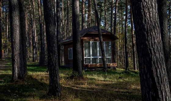 Фото №6 зала Беседка №8