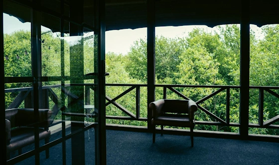 Фото №12 зала Зал до 40 гостей