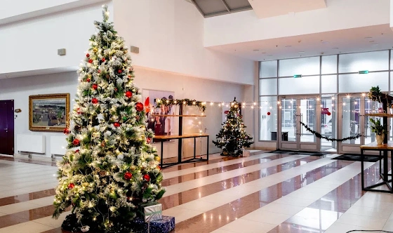 Фото №13 зала Основной