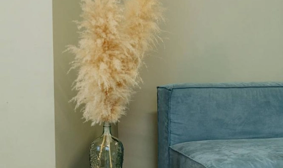 Фото №5 зала Mr.Boho