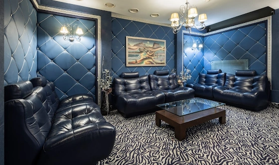 Фото №11 зала VIP-зал